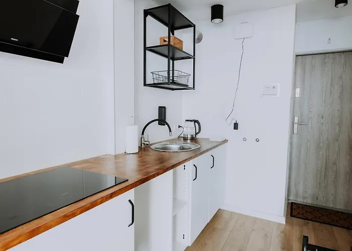 Komfortowy W Centrum Wroclawia * Breslavia